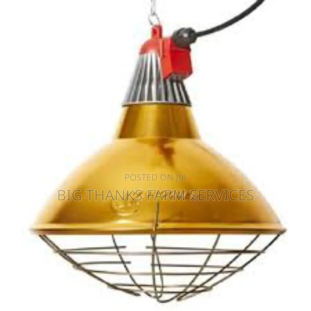 Lamp Reflector Holder &Bulb · Photo 2