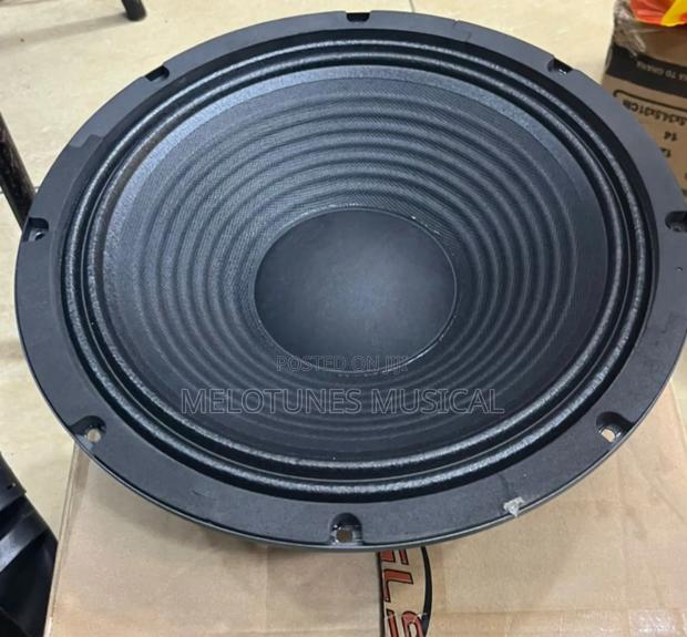 Titanic Tc1241 12inches Pair of Naked Speakers · Photo 4