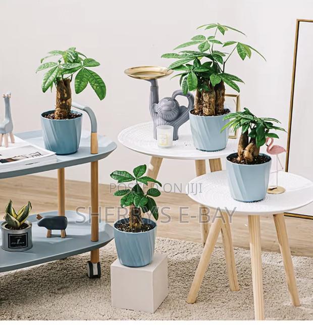 Planter Pot With Tray photo 3