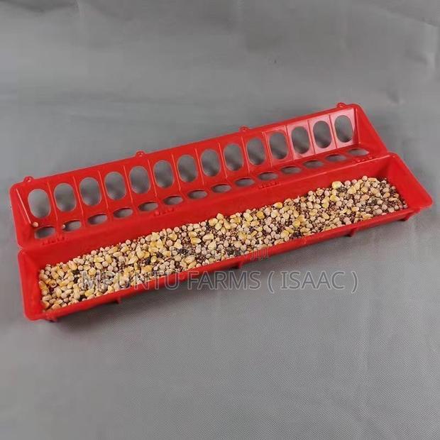 Flip Top Feeder