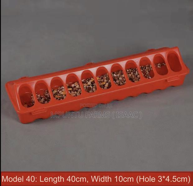 Flip Top Feeder photo 2