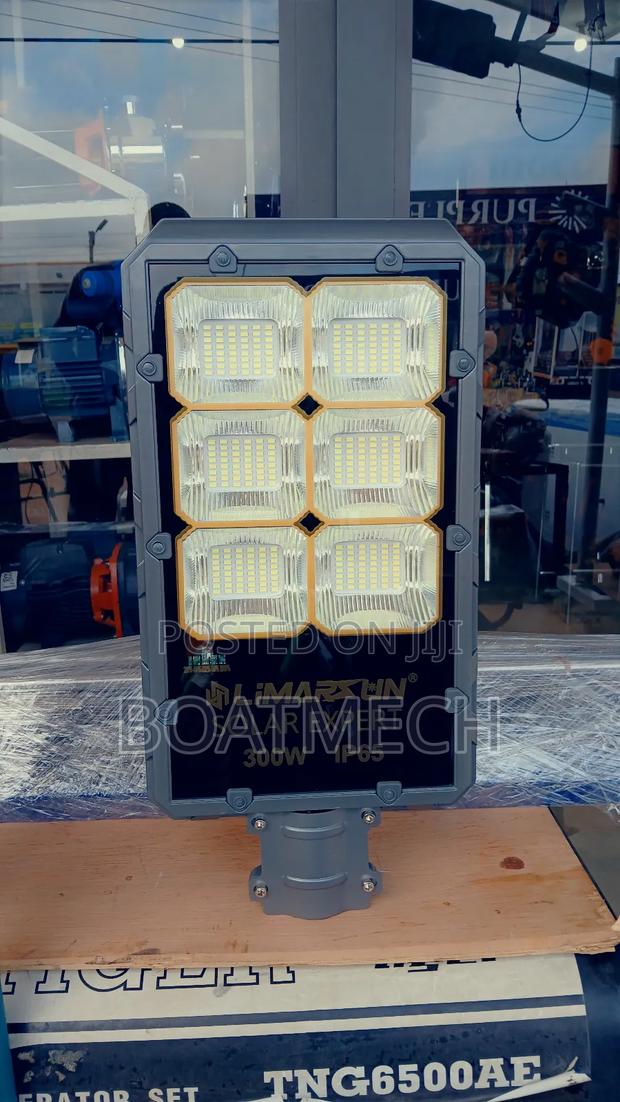 300w Limarsun Solar Lamp photo 2