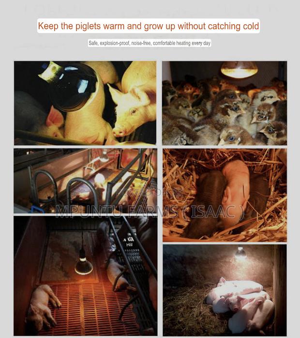 Infrared Heating Bulb photo 4