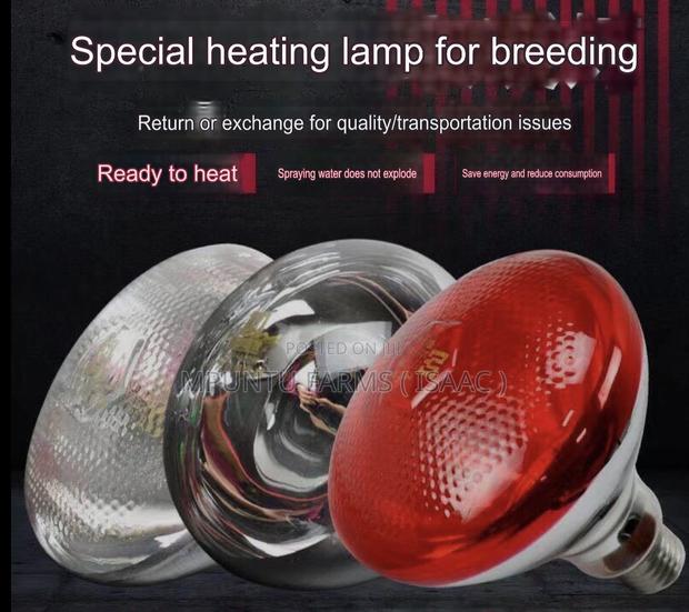 Infrared Heating Bulb photo 2