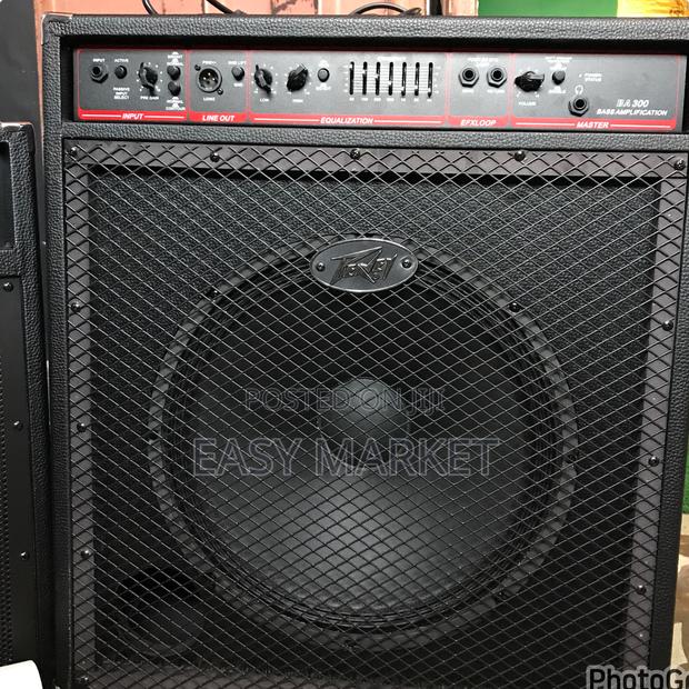 Peavey Bass Combo · Photo 2