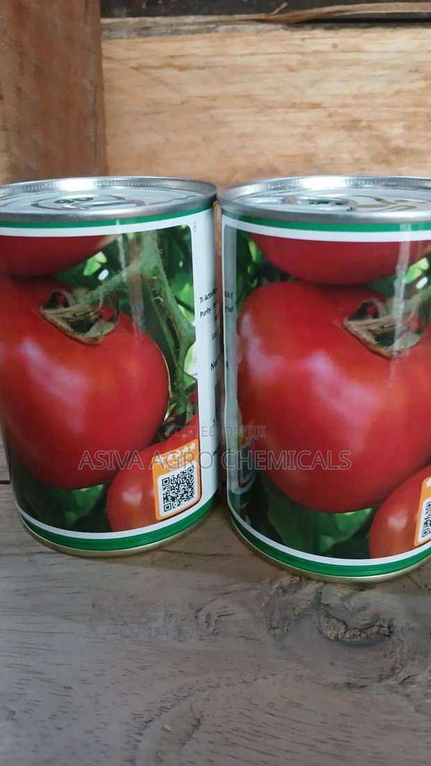 Cobra 34 Tomato Seeds 50grams