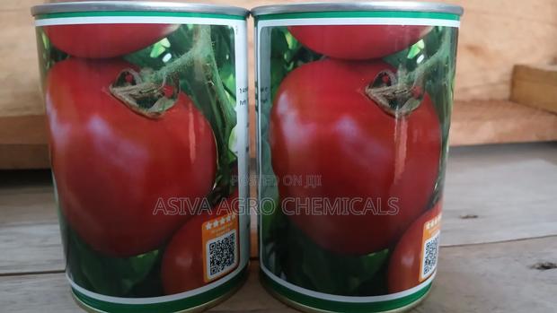 Cobra 34 Tomato Seeds 50grams photo 2