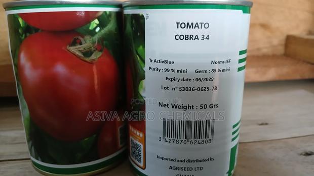 Cobra 34 Tomato Seeds 50grams photo 3