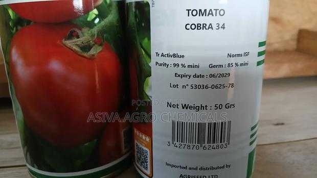 Cobra 34 Tomato Seeds 50grams photo 4