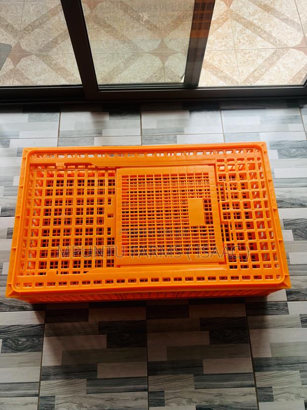 Transport Cage photo 3