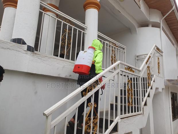 Fumigants in Kumasi · Photo 4