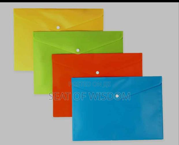 Clear Bag /Clear Button Bag