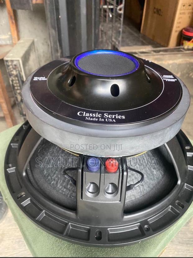 12 Inches Double Magnet Speaker