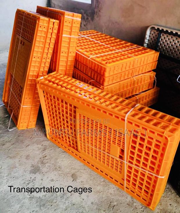 Transport Cage