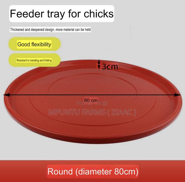 Rounded Feed Tray photo 2