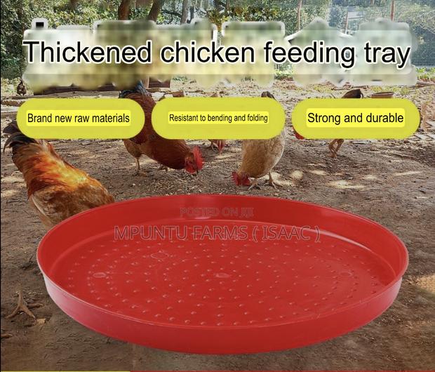 Rounded Feed Tray photo 5
