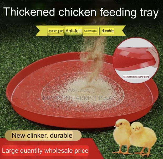 Rounded Feed Tray photo 4