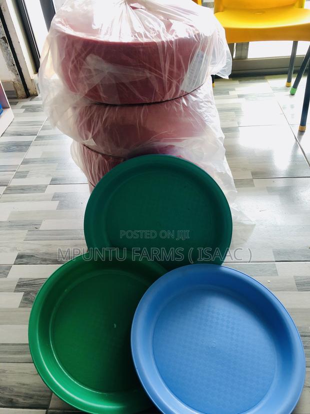 Rounded Feed Tray