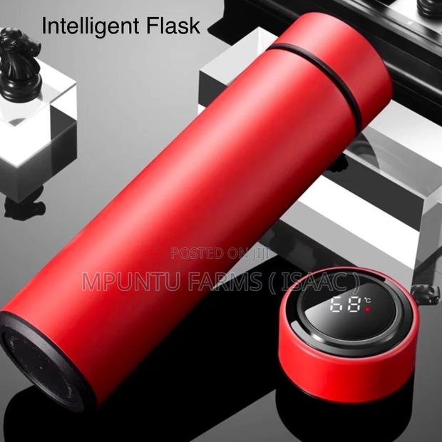 Intelligent Vacuum Flask
