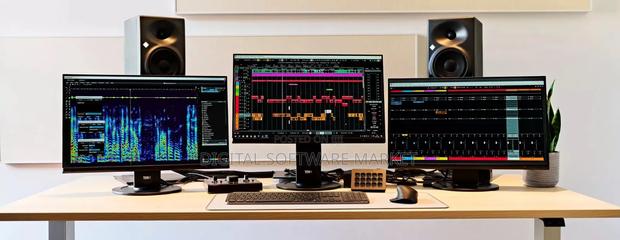 Steinberg Spectralayers Pro V12 Full Version · Photo 4
