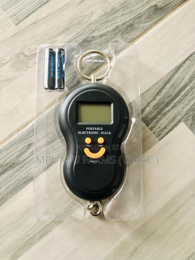 Portable Scale photo 2