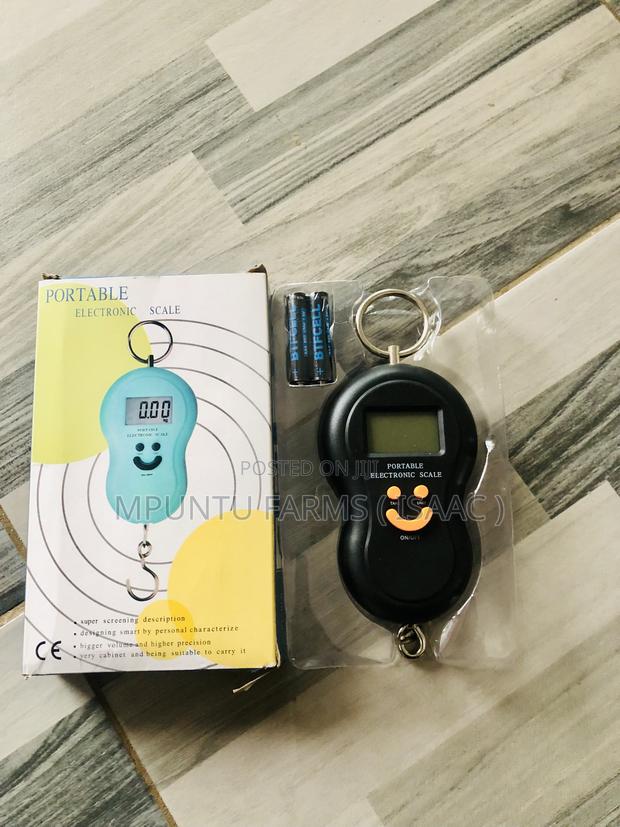 Portable Scale
