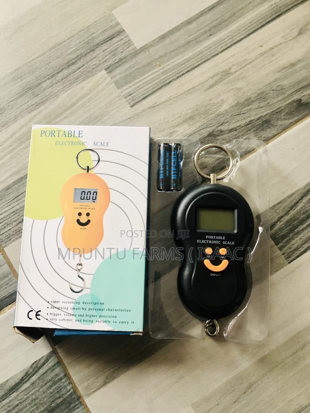 Portable Scale photo 3