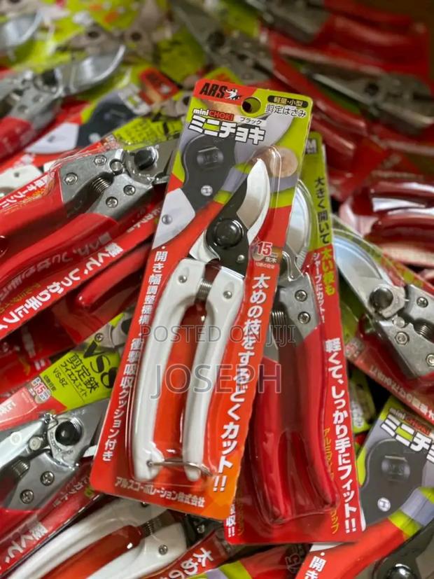 Prune Tools/ Pruning · Photo 3