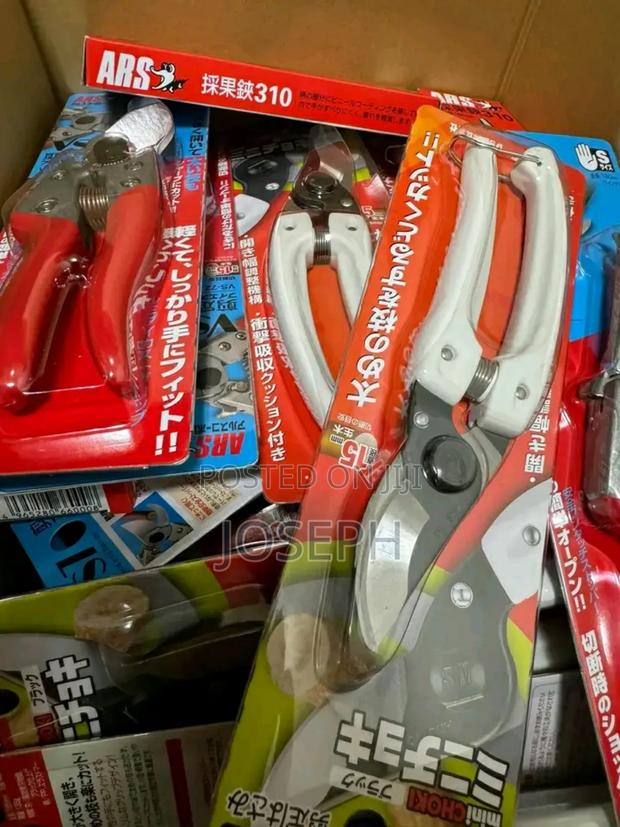 Prune Tools/ Pruning · Photo 4