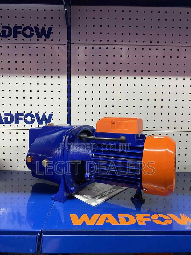 Quality Wadfow Water Pump 0.5hp, 1hp, 1.5hp 2hp photo 2