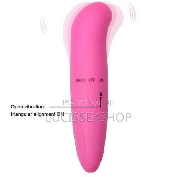 G Spot Dolphin Vibrator · Photo 4