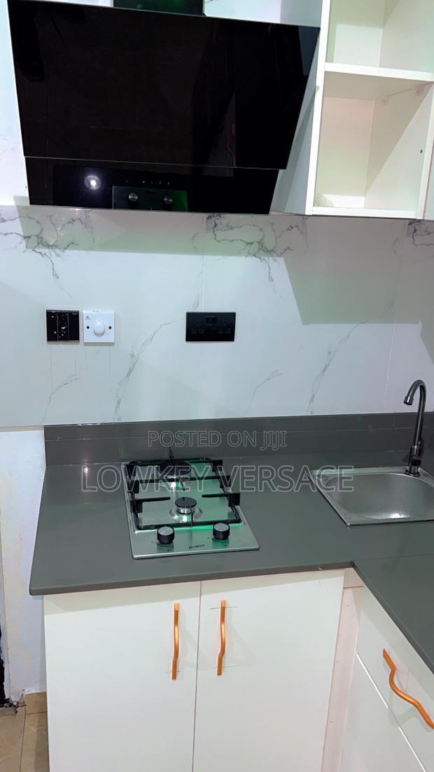 Luxury Studio+Kitchen+Starlink Internet/Generator/Ensuite photo 3