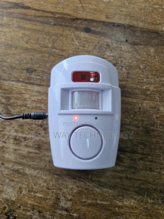 Wireless Siren photo 2