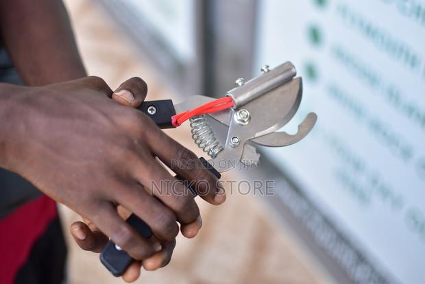 Electric Hand Held Debeaker