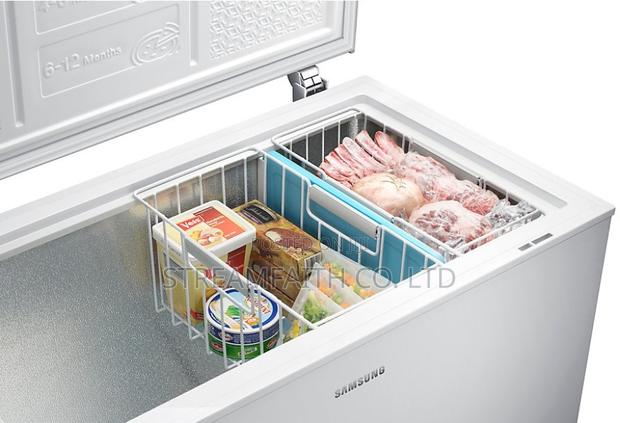 Samsung 371ltr Chest Freezer Rz41naraeww Efficient Duracool