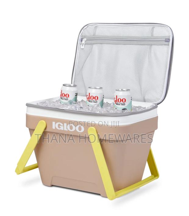 Igloo Basket Ice Chest · Photo 4