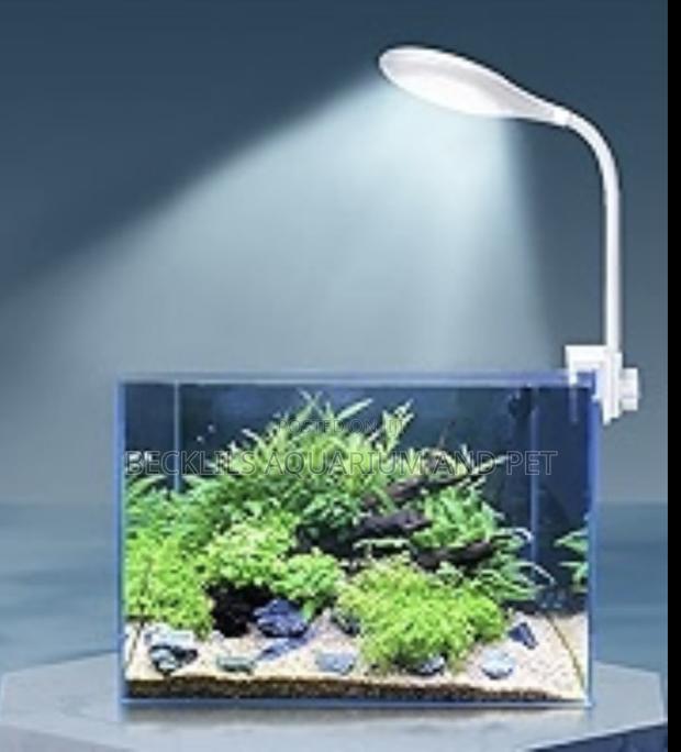 Aqurium Light ( Table Top) · Photo 4