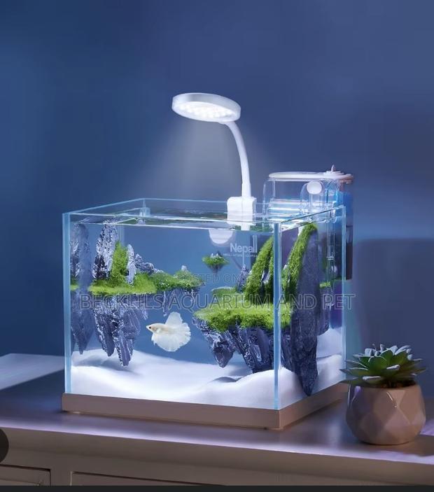 Aqurium Light ( Table Top) · Photo 3