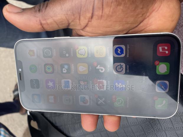 Apple iPhone 12 Pro Max 256 GB White photo 9