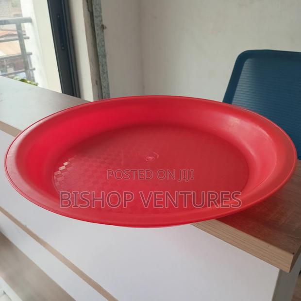 Tray Feeders Poultry photo 4
