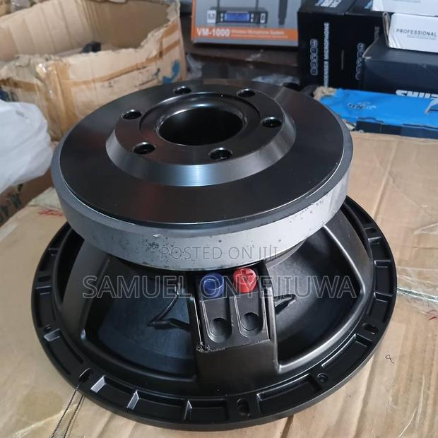 12 Inches Double Magnet Speaker photo 2