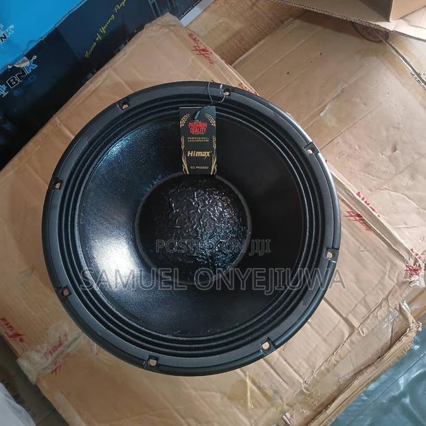 12 Inches Double Magnet Speaker photo 4