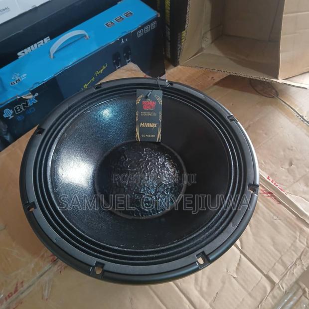 12 Inches Double Magnet Speaker photo 5