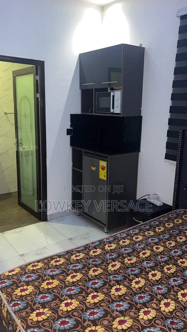 Super Comfy Studio+ Dstv+Starlink Internet+Generator photo 11