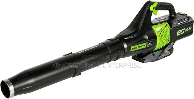Electric 80v Air Blower From Us