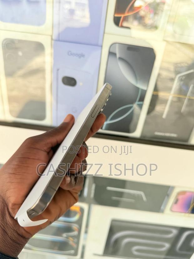 Apple iPhone 15 Pro Max 256 GB Gray photo 3