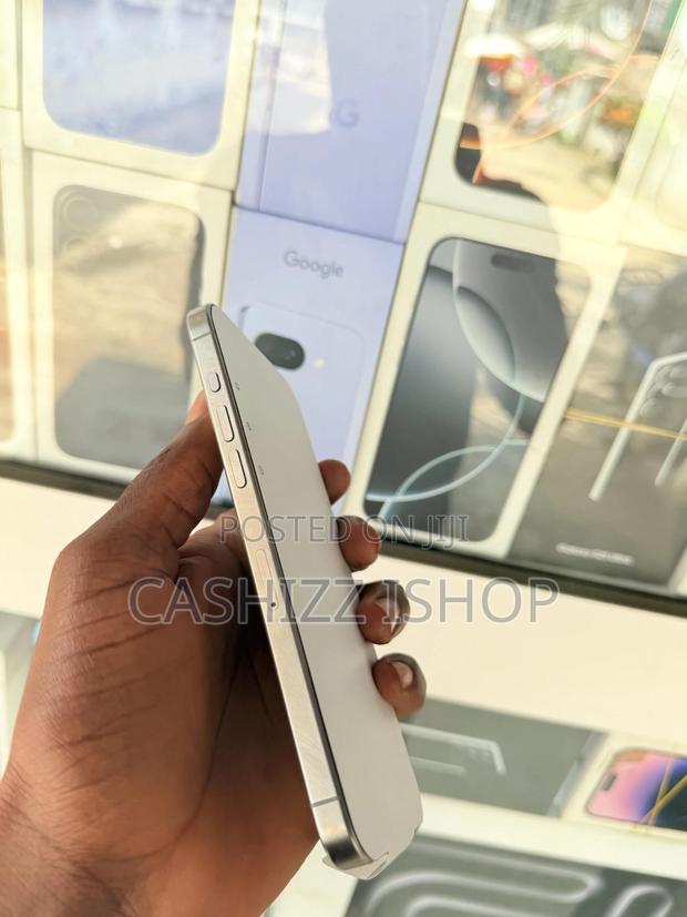 Apple iPhone 15 Pro Max 256 GB Gray photo 5
