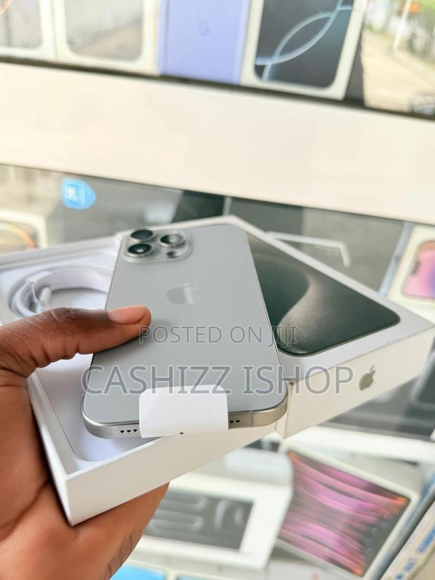 Apple iPhone 15 Pro Max 256 GB Gray photo 8