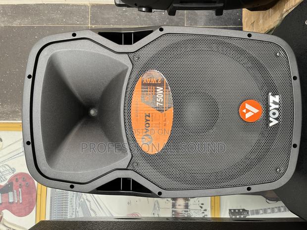 Voyz 2 Way 15"Active Speaker.: · Photo 4