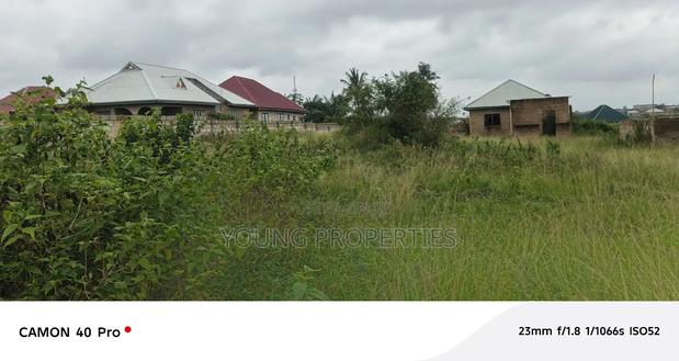 Half Plots of Land for Sale Amasaman Danchira 30,000 · Photo 4
